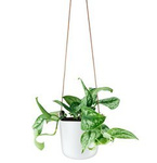 EVA SOLO Clay Self-Watering Hanging Pot White