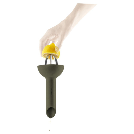 Green tools Citrus press