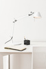 ARTEMIDE Tolomeo Micro desk lamp white