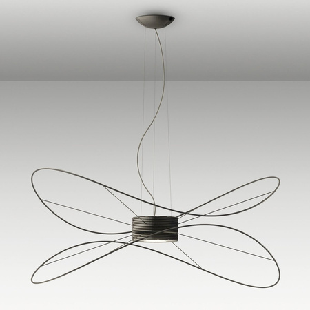 AXOLIGHT Hoops 2 black pendant lamp